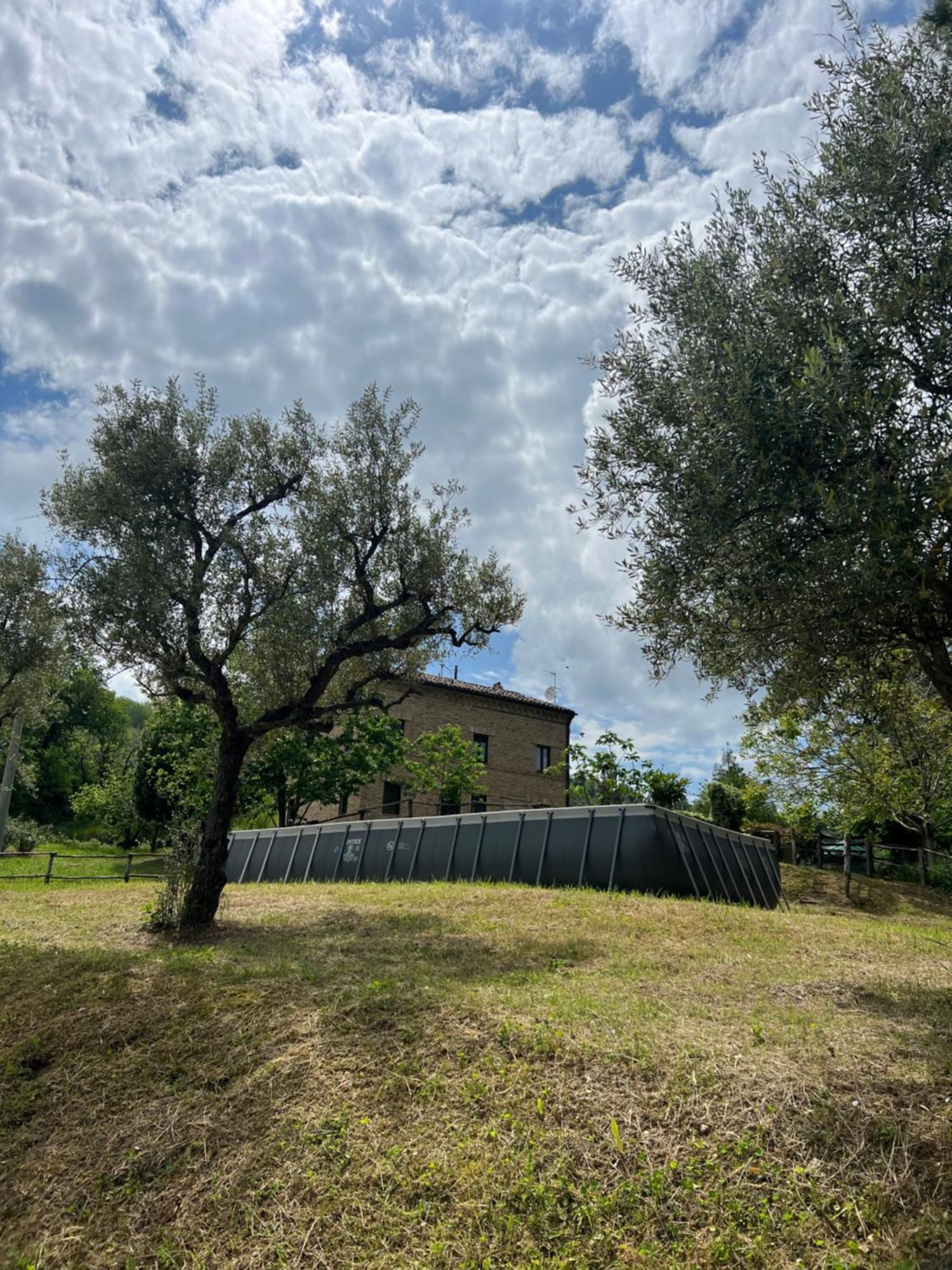 Tenuta Gran Bosco Loro Piceno Exterior photo