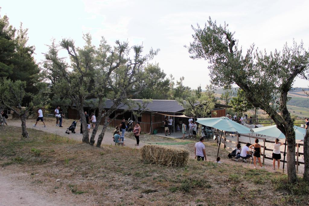 Tenuta Gran Bosco Loro Piceno Exterior photo