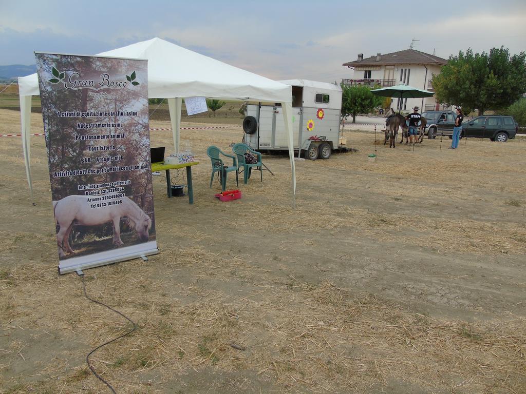 Tenuta Gran Bosco Loro Piceno Exterior photo