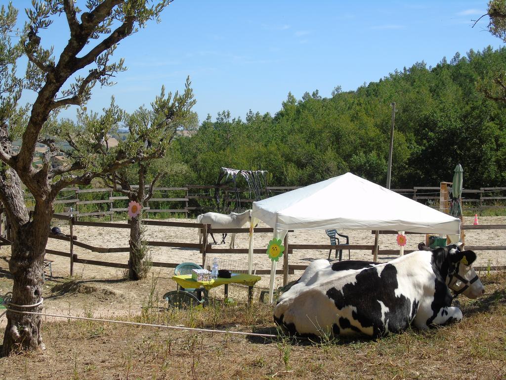 Tenuta Gran Bosco Loro Piceno Exterior photo