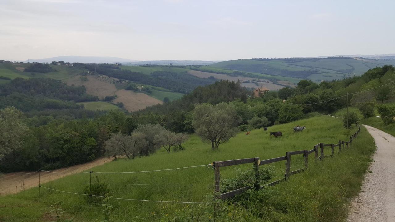 Tenuta Gran Bosco Loro Piceno Exterior photo